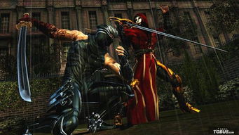 《忍者龙剑传》红叶雕像首发，限量版仅3515.49元，珍藏价值高！