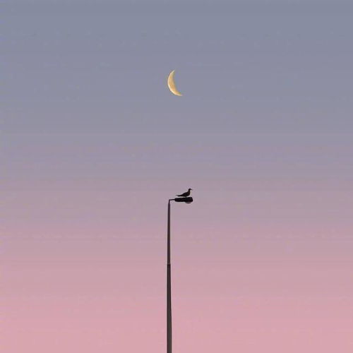 艾尔登法环结局里的3个隐藏真相，你选的结局，其实早被交界地写死了？