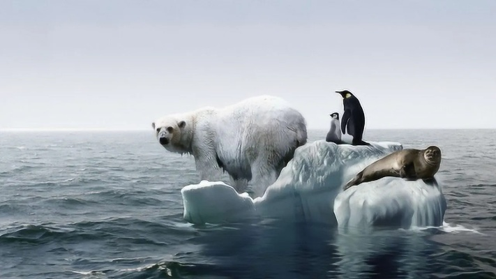 地球小冰河期误判，气温升势不减，揭秘全球变暖真相