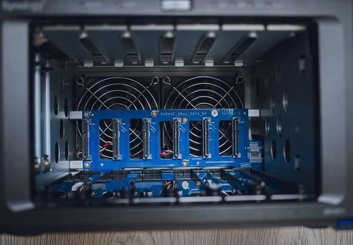 熊猫酒仙服务器,有没有工作室? 熊猫酒仙服务器,有没有工作室?