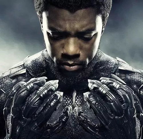 好莱坞星光大道新添荣耀：查德维克·博斯曼“黑豹”精神永存