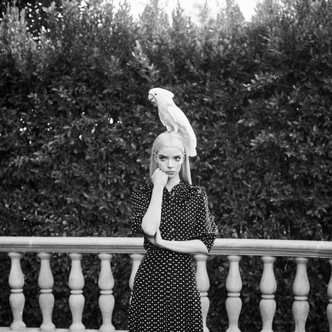 安雅·泰勒-乔伊夫妇洛杉矶漫步：明星夫妻演绎时尚和谐