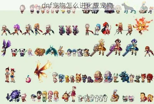 DNF宠物进化图鉴大全，探秘阿拉德萌宠的进化之路