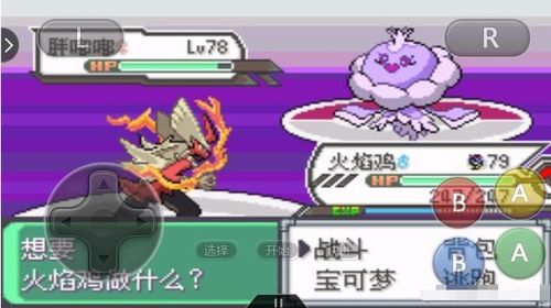 口袋怪兽玩家必看，隐藏10年的羁绊进化真相，为什么你练不出满好感神兽？