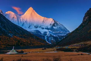 雪山巅峰背心行者,6000米海拔邂逅雪莲奇珍 雪山巅峰背心行者,6000米海拔邂逅雪莲奇珍