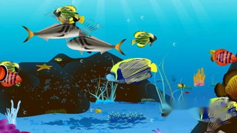 大鱼吃小鱼2中文版：精美的画面，逼真的环境，带你感受海底世界！