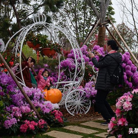 白雪公主小红帽:揭秘传奇冒险新篇章 白雪公主小红帽:揭秘传奇冒险新篇章