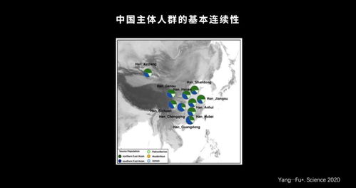 帕南的隐藏互动你漏了多少?10个影响结局的关键选择全解析 帕南的隐藏互动你漏了多少?10个影响结局的关键选择全解析