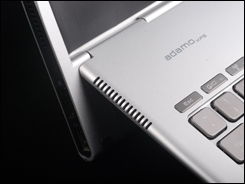 《诺曼荣光》欧美首曝！2月20日NS/PS5/PC同步绽放新篇章