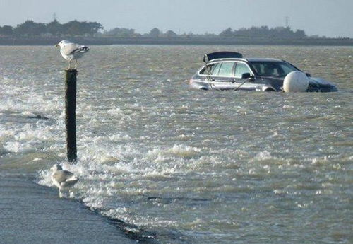 无尽狂潮总被潮水淹没？老玩家拆解动态潮汐逻辑，教你用1套循环流站到最后