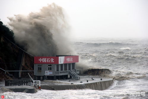 无尽狂潮总被潮水淹没？老玩家拆解动态潮汐逻辑，教你用1套循环流站到最后