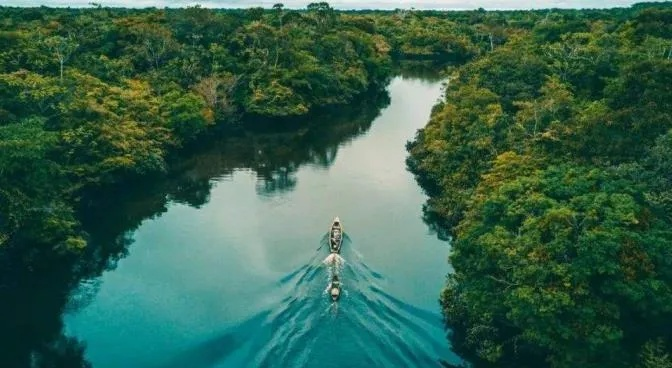 巴西密林探秘，溺亡湖寻踪惊悚启程