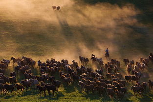 北望江山新纪元，北伐传奇再续篇
