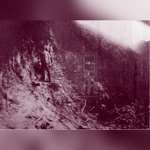 《战地6》免费试玩大揭秘，全新体验震撼来袭！