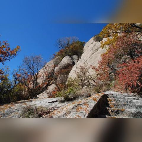 一夫当关是什么生肖？这几个生肖最适合当将军！