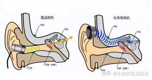 头晕不适者慎用,骨传导耳机专家提醒这三类人群不宜佩戴 头晕不适者慎用,骨传导耳机专家提醒这三类人群不宜佩戴