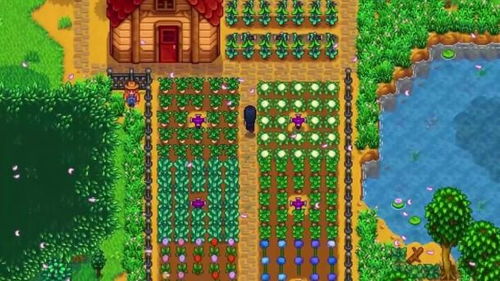 星露谷物语新手第一年必看，如何用3个月攒够10万？内附季节错位赚钱法