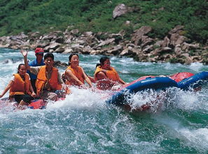 泰国渡轮惊魂：行李漂流揭秘观景瞬间
