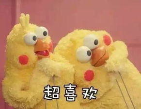 小红花表情符号代表什么意思？一篇文章告诉你！