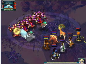 梦幻群侠传2宠物资质,哪种加点方式最实用