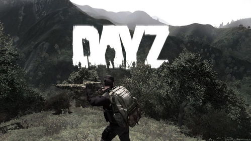DayZ新手刚活3小时就暴毙？我用2025年生存密码帮你撑过72小时