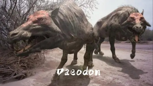 《方舟新篇》诡狱犬惊现，感恩节“火鸡审判”狂欢升级！