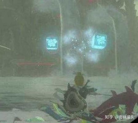 塞尔达旷野之息玩家藏了5年的隐形装备逻辑，为什么你刷不到真正的神装？