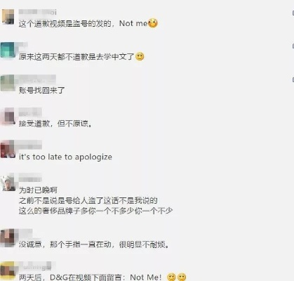 全球网红罕见公开道歉，新视频反响不及预期，创新突破引热议