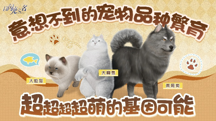 治愈萌宠新体验，版号过审《闪耀噜咪》来袭