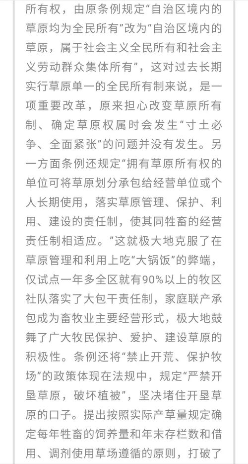 梦幻胡姬琵琶行歌词（旋律背后的故事是什么）