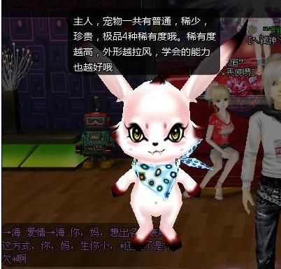 炫舞夜猫子,  你最喜欢的夜猫子称号怎么获得