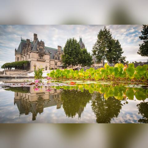 摩尔庄园钓鱼总空军？12个隐藏机制+3类必爆点，我用3天钓满全图鉴