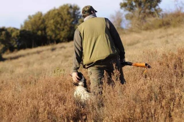 狩猎开始前90秒必须做完的7件事，老猎人从不外传的野区控场秘诀