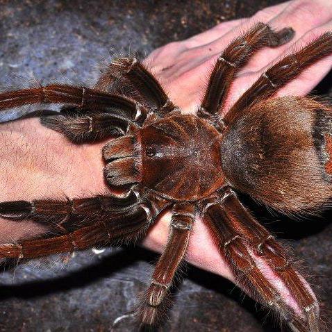 警惕300 元一次附近人背后的陷阱