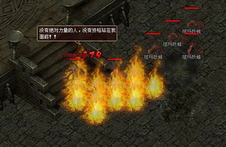 熔火危途：全新生存挑战，揭秘极限求生新篇章