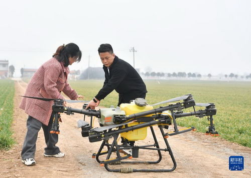 景区拒用无人机，挑山工饭碗更稳固，无人机替代潮受阻