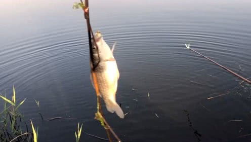 钓鱼奇才独钓千年宝,独缺凡间鱼儿乐 钓鱼奇才独钓千年宝,独缺凡间鱼儿乐