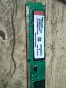 凌晨惊醒!内存条失窃,黄金级装备揭秘追踪! 凌晨惊醒!内存条失窃,黄金级装备揭秘追踪!