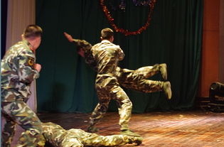 《猿公剑》三载辉煌庆，匠心团队再攀高峰