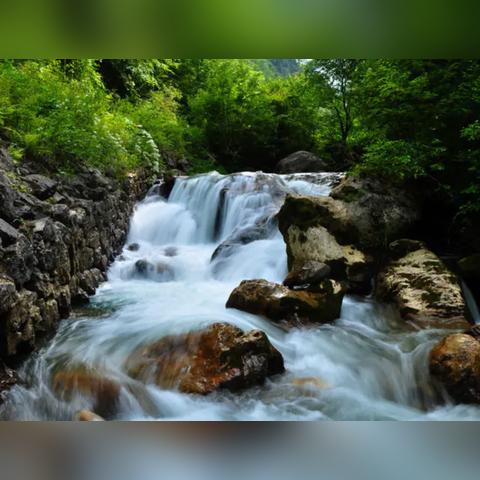 净化潭水任务攻略:轻松完成的方法与技巧 净化潭水任务攻略:轻松完成的方法与技巧