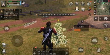 死亡岛视频里藏着多少没说透的生存真相？老玩家逐帧拆解的冷门细节全在这