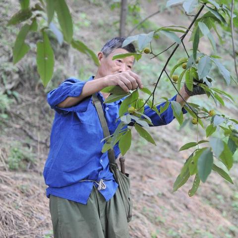 手机壳“爱马仕”热销36亿,单价700元,奢华新宠引爆市场 手机壳“爱马仕”热销36亿,单价700元,奢华新宠引爆市场