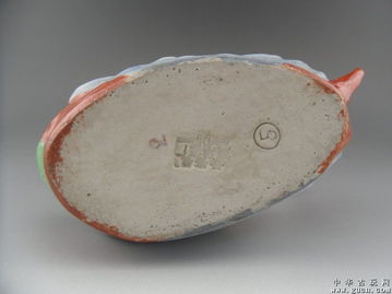 养鱼轻松生金，佛系办公新潮流《桌面鱼老板：休闲时光金鱼养》