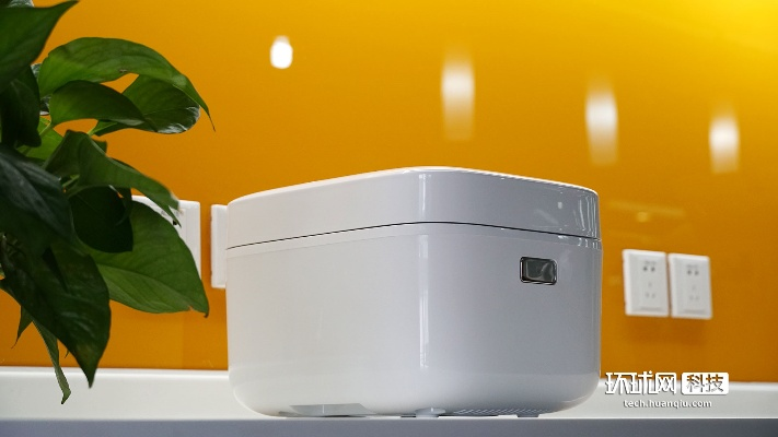 小米旗舰电饭煲4L新升级，1999元IH变压煮出新高度！