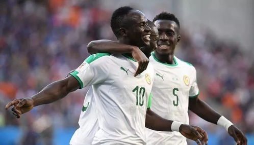 激情碰撞，英格兰 vs 塞内加尔足球赛现场直击