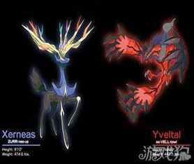 口袋妖怪XY全精灵图鉴，探索卡洛斯地区的奇妙精灵世界