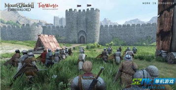 《骑马与砍杀2》NavalDLC故障排查攻略，轻松解决新体验