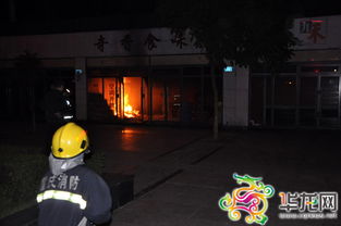 无人店铺凌晨起火！凶手是老鼠？游戏里的隐形威胁竟照进现实？