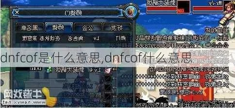 dnfcof（配置文件怎么迁移）