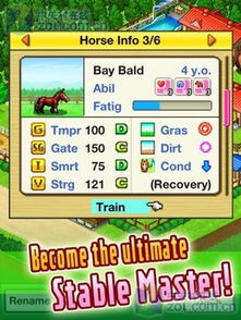 顶级跑马牧场攻略（培养顶级赛驹）